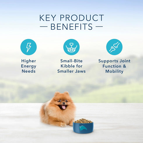 4-lb (Pack 2) Blue Buffalo Life Protection Formula Natural Adult Toy Breed Dry Dog Food, Chicken and Brown Rice