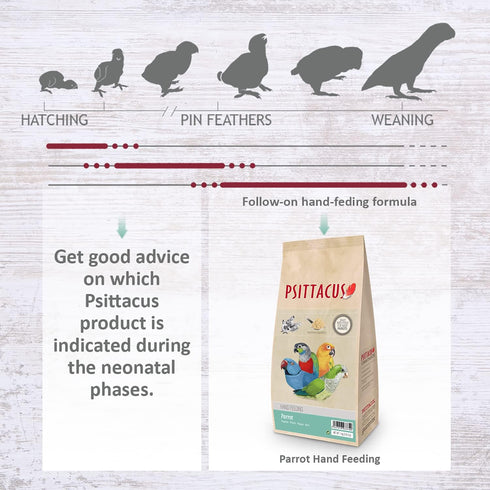 2.2 lb 100% Psittacus Parrot Hand-Feeding Formula | Versatile Diet for Baby Caiques, Conures, Green Cheeks and Other