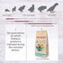 2.2 lb 100% Psittacus Parrot Hand-Feeding Formula | Versatile Diet for Baby Caiques, Conures, Green Cheeks and Other