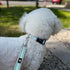 FURRYFECTION Reflective Dog Collar and Leash Set with Quick Release Buckle, Padded Neoprene Adjustable Nylon Collar for