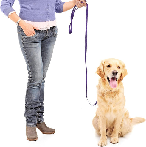 30 Pieces Slip Leads Dog Leash, Strong Pulling Kennel Leads with O-Ring for Dogs Walking Training