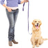 30 Pieces Slip Leads Dog Leash, Strong Pulling Kennel Leads with O-Ring for Dogs Walking Training