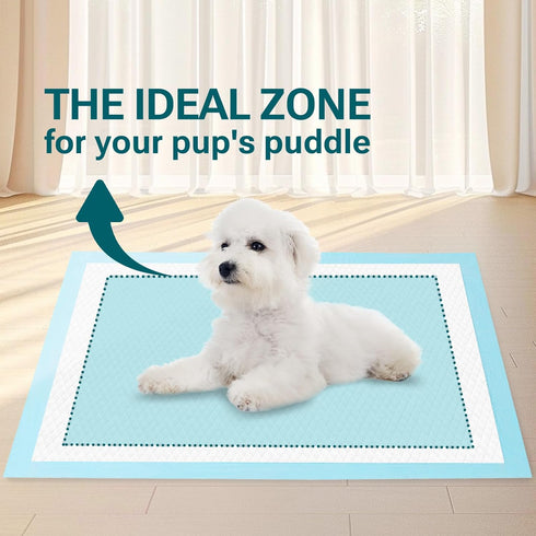 CLEAN SPACES 100 Count 22"x 22", Super Absorbency Puppy Pads Leakproof Quick Drying Dog Training Pee Pads, Puppy Pee