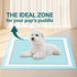 CLEAN SPACES 100 Count 22"x 22", Super Absorbency Puppy Pads Leakproof Quick Drying Dog Training Pee Pads, Puppy Pee