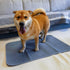 Reusable Puppy Potty Training Pad - Essential for Dog Owners