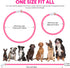 HIGO LED Dog Collar, Lightweight Silicone Light Up Dog Necklace, USB Rechargeable, Pink