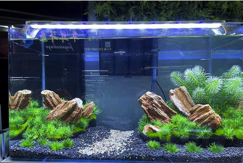 AQUA KT Aquarium Landscape Foreground Grass, Seaweed Green Plants for Marine Freshwater Fish Tank Decor