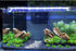 AQUA KT Aquarium Landscape Foreground Grass, Seaweed Green Plants for Marine Freshwater Fish Tank Decor