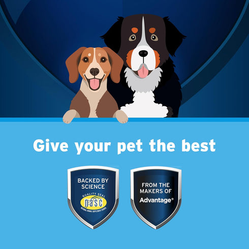 Pet Protect Omega 3 Supplement for M/L Dogs, 60 Capsules