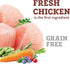 OPtimeal Grain-Free Dog Food, Balanced Dry Recipe with Immunity Support, Non-Grain for All Breeds, 3.3 lbs, Chicken &