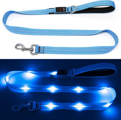 4 Ft Led Dog Leash - Rechargeable Light Up Waterproof, Safety Glow In The Dark for Night Walking, Nylon Reflective