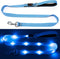 4 Ft Led Dog Leash - Rechargeable Light Up Waterproof, Safety Glow In The Dark for Night Walking, Nylon Reflective
