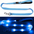 4 Ft Led Dog Leash - Rechargeable Light Up Waterproof, Safety Glow In The Dark for Night Walking, Nylon Reflective