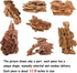 kathson Large Driftwood Natural Wood Assorted Branches, Fish Tank Driftwood Decoration for Reptiles