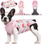 Kuoser Recovery Suit for Dogs Cats - After Surgery Professional Pet Recovery Shirt, Prevent Licking