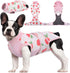 Kuoser Recovery Suit for Dogs Cats - After Surgery Professional Pet Recovery Shirt, Prevent Licking