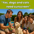 2 oz Sit Stay Forever Organic Sunscreen for Dogs and Cats, Dog Sunscreen, Dog Beach Essentials, Pet Sunscreen Cream