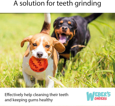 Weber's Wonders Set of 2 Paw Tricky Treat Ball - Dog Toy, Food Dispensing Non-Toxic Rubber Interactive Toy for Pets