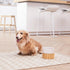 Billie Elevated Ceramic Pet Bowl with Bamboo Stand,Brown