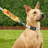 Future Service Dog Leash Sleeve - Working Dog Leash Wrap