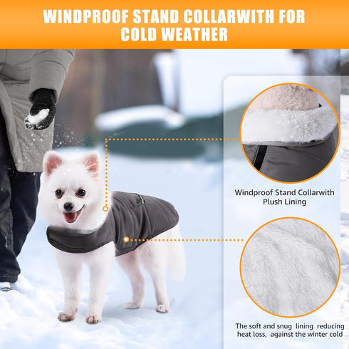 iBuddy Dog Winter Coats - Waterproof Warm Snow Jacket with Fleece Vest, Reflective Adjustable Cold Coat for Dogs