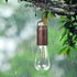 2 Pack Bulb,Portable Backpacking Battery Operated Hanging Tent Light Outdoor Vintage LED Camping Light,Hurricane