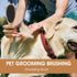 Dog Pin Brush - Airbag Wooden Comb with 20mm Stainless Steel Round Pins for Shedding & Tangles