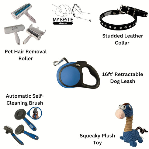 ATE Pro. USA 5 Set, Set, Puppy Supplies Starter Kit, pc Retractable Leash, Studded Leather Collar, Pet Grooming Brush
