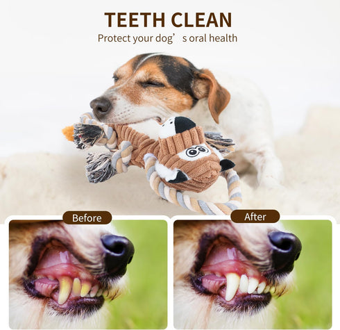Squeaky Dog Toys, Interactive Durable Rope-Infused Lion Shape Chew Toys for All Dog Sizes