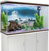 AWERT 48x20 inches Egyptian Pyramid Aquarium Background, Egypt and Sphinx Underwater World Vinyl Background