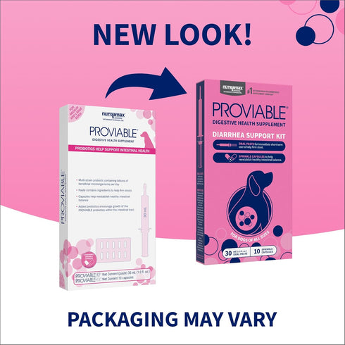 30 ml 10 Nutramax Proviable Probiotics for Dogs, Diarrhea Support Kit, Digestive Health Supplement with Multiple