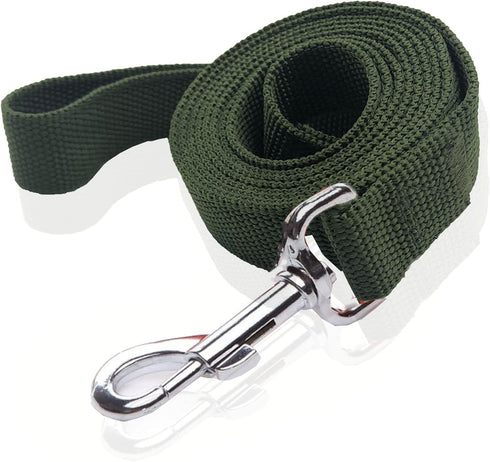 Nylon Dog Leash, 10 Feet Long, Walking Training Leash for Medium Large Dogs, 1 Inch Wide, Green