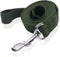 Nylon Dog Leash, 10 Feet Long, Walking Training Leash for Medium Large Dogs, 1 Inch Wide, Green