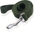 Nylon Dog Leash, 10 Feet Long, Walking Training Leash for Medium Large Dogs, 1 Inch Wide, Green
