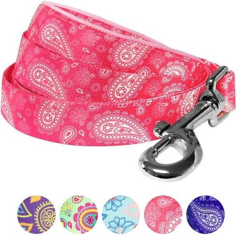 Blueberry Pet 5 Colors Paisley Flower Print Dog Leash, 5 ft x 5/8", Pink, Small