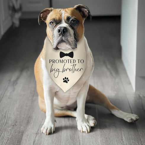 Luptiteuy Promoted to Big Brother Baby Announcement Dog Bandana Gender Reveal Gift Pregnancy Announcement Photo Prop