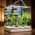 12 Pack Anti-Floating Ceramic Aquarium Plant Rings, Fixed Rings for Fish Tank Accessories