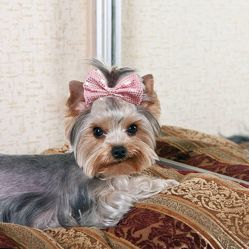 PET SHOW 6Pcs 4" Big Dogs Hair Clips, Bling Hair Bows, Sequins Pet Bowknot, Grooming Accessories for Girls Boys