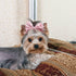PET SHOW 6Pcs 4" Big Dogs Hair Clips, Bling Hair Bows, Sequins Pet Bowknot, Grooming Accessories for Girls Boys