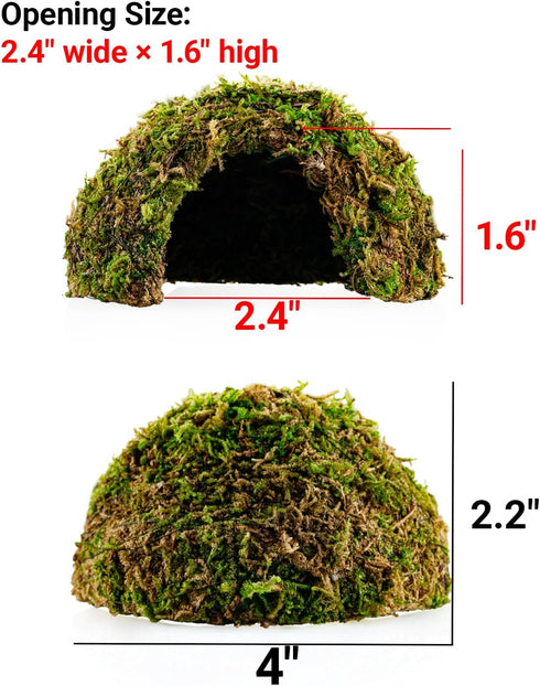 ORBIDYN 2PCS 43.52.2in 1.6in Hermit Crab Accessories Climbing Toys & Habitat Domes, Natural-Look Shelter Cave, Hermit