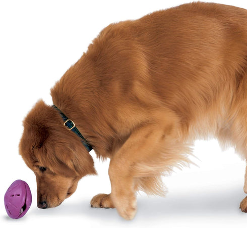 PetSafe Busy Buddy Twist 'n Treat Dispensing Dog Toy - Large Size