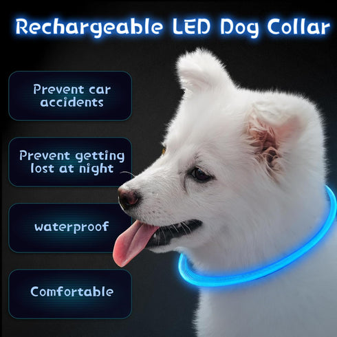 3 Pieces LED Dog Collar Light Up, Rechargeable Adjustable for Night Walking, Large Medium Small Dogs, Blue, Classic