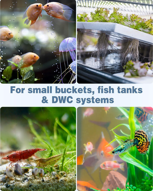 Pawfly 12 Pack Aquarium Air Stone, 1 Inch Cylinder Bubble Diffuser for Nano Air Pumps, Small Buckets & Fish Tanks