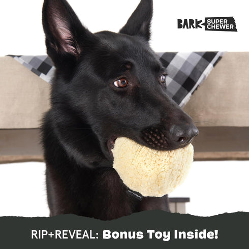 Barkbox Potato 2-in-1 Dog Toy, Tough Plush Squeaky Chew Toy for Large Dogs