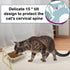Elevated Double Cat Bowls, 5.7" Pets Water and Food Bowl, 15° Tilted Transparent Raised Dishes with Iron Stand, Rose
