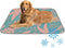 Generic Pet Cooling Mat Ice Silk Cooling Mat for Cat Tropical Fruit Thin