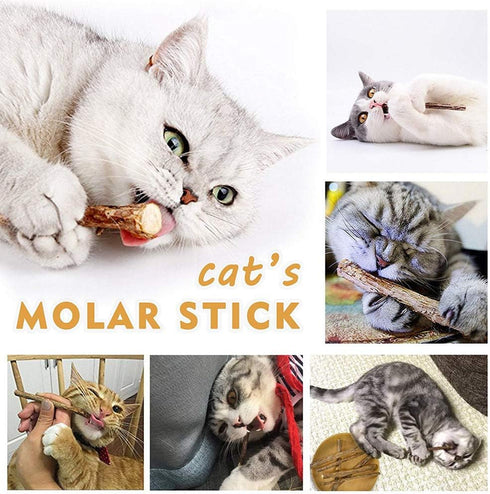 10 PCS Cat Catnip Sticks, Natural Matatabi Silvervine Chew Toy, Cleaning Teeth Molar Tools for Cats