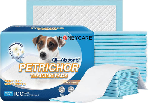 HONEY CARE All-Absorb Dog and Puppy Training Pads, Large 22" x 23", 100 Count, Blue