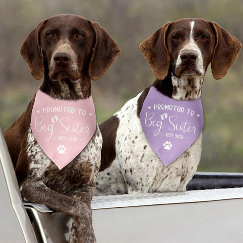 Luptiteuy 2 Pack 2026 Promoted to Big Sister Dog Bandana Pregnancy Announcement Gender Reveal Dog Outfit Baby