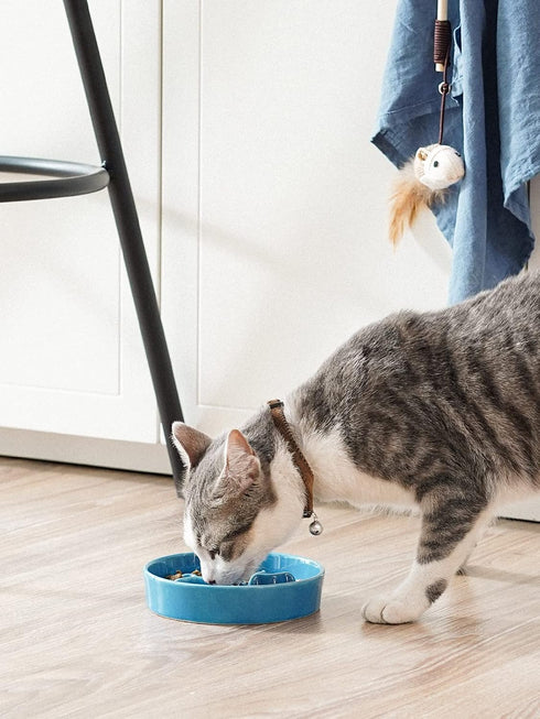 Ceramic Slow Feeder Dog Bowls Small Breed, 0.5 Cups Dog Food Dish for Fast Eaters, Puzzle Bowl for Small Dogs and Cats,5.5 Inch-Blue